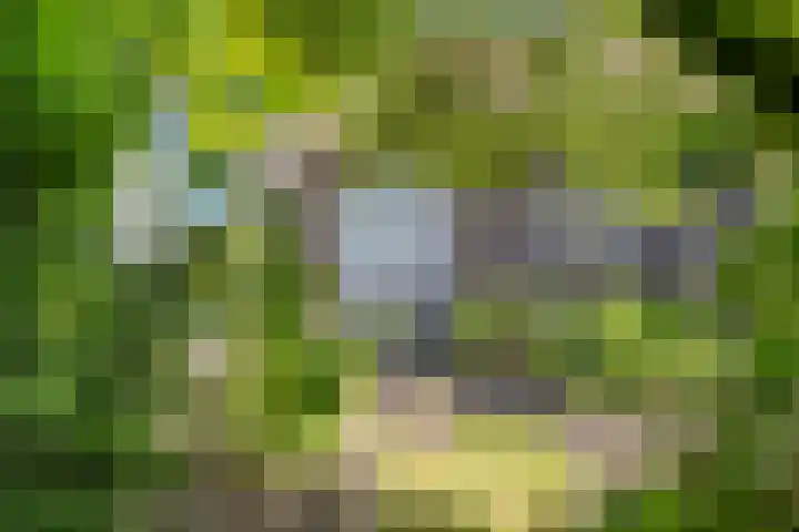 Rijksweg 51 Empe thumbnail 46