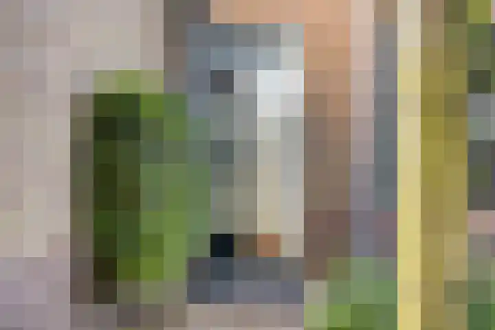 Rijksweg 51 Empe thumbnail 49