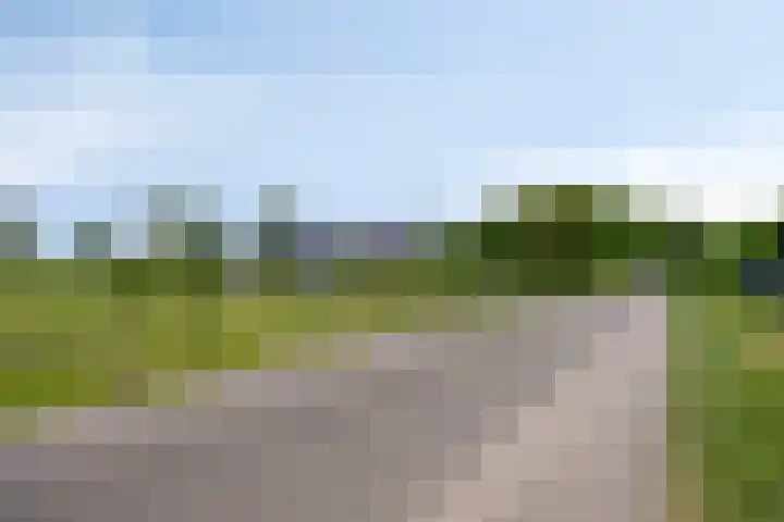 Rijksweg 51 Empe thumbnail 54