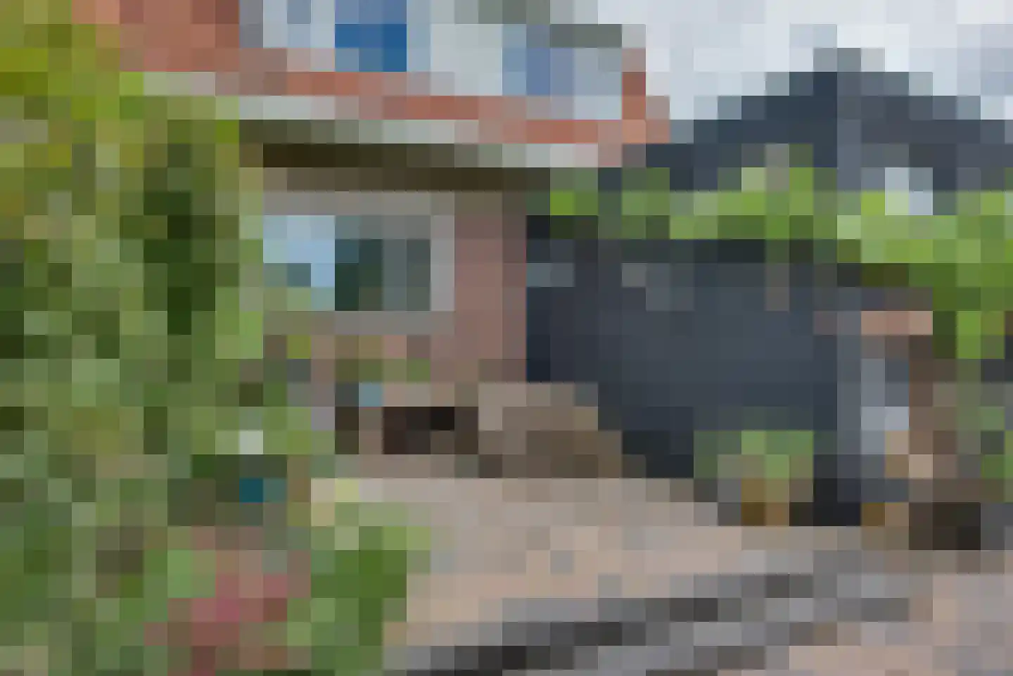 Rijksweg 51 Nieuwendijk thumbnail 11