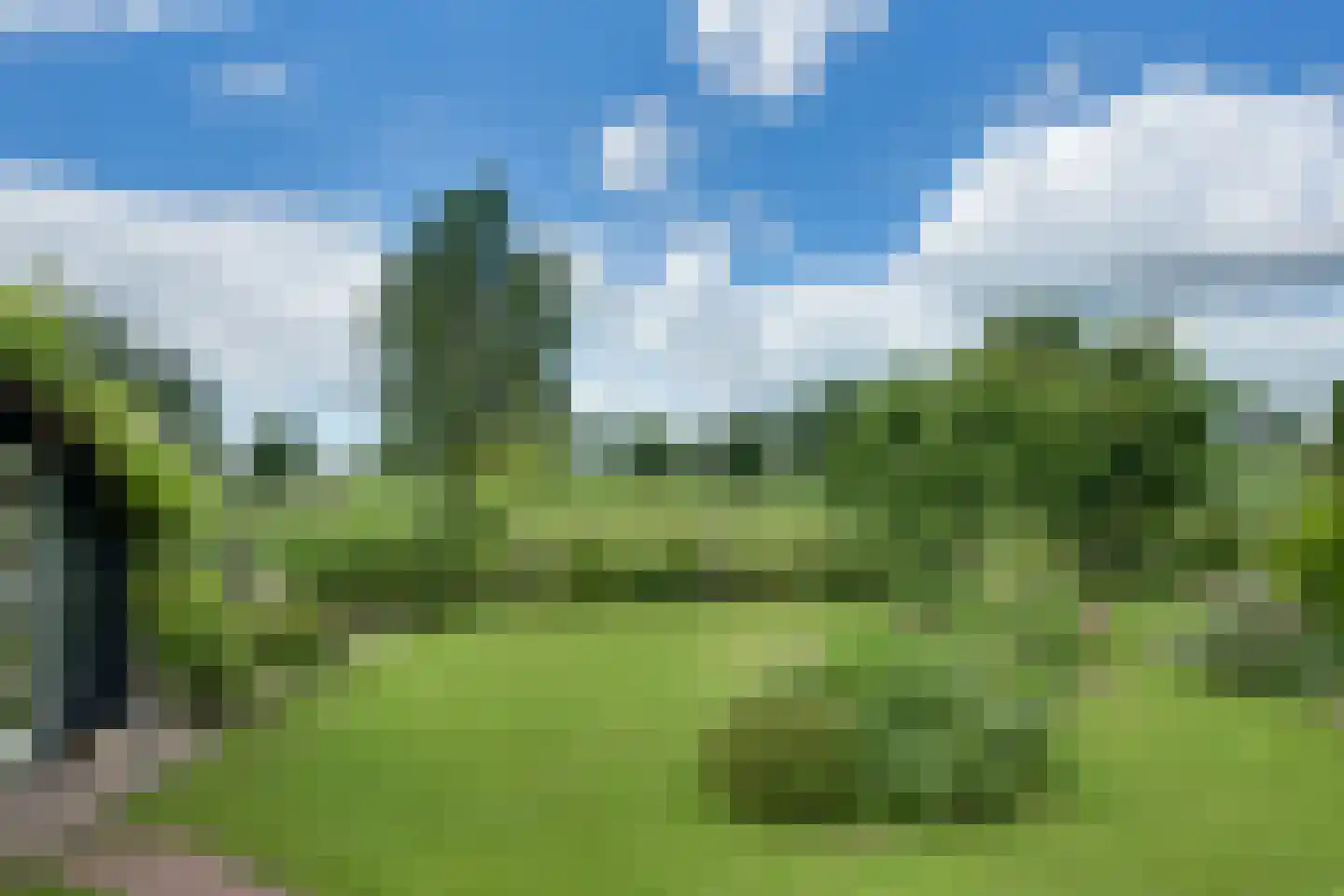 Rijksweg 51 Nieuwendijk thumbnail 14