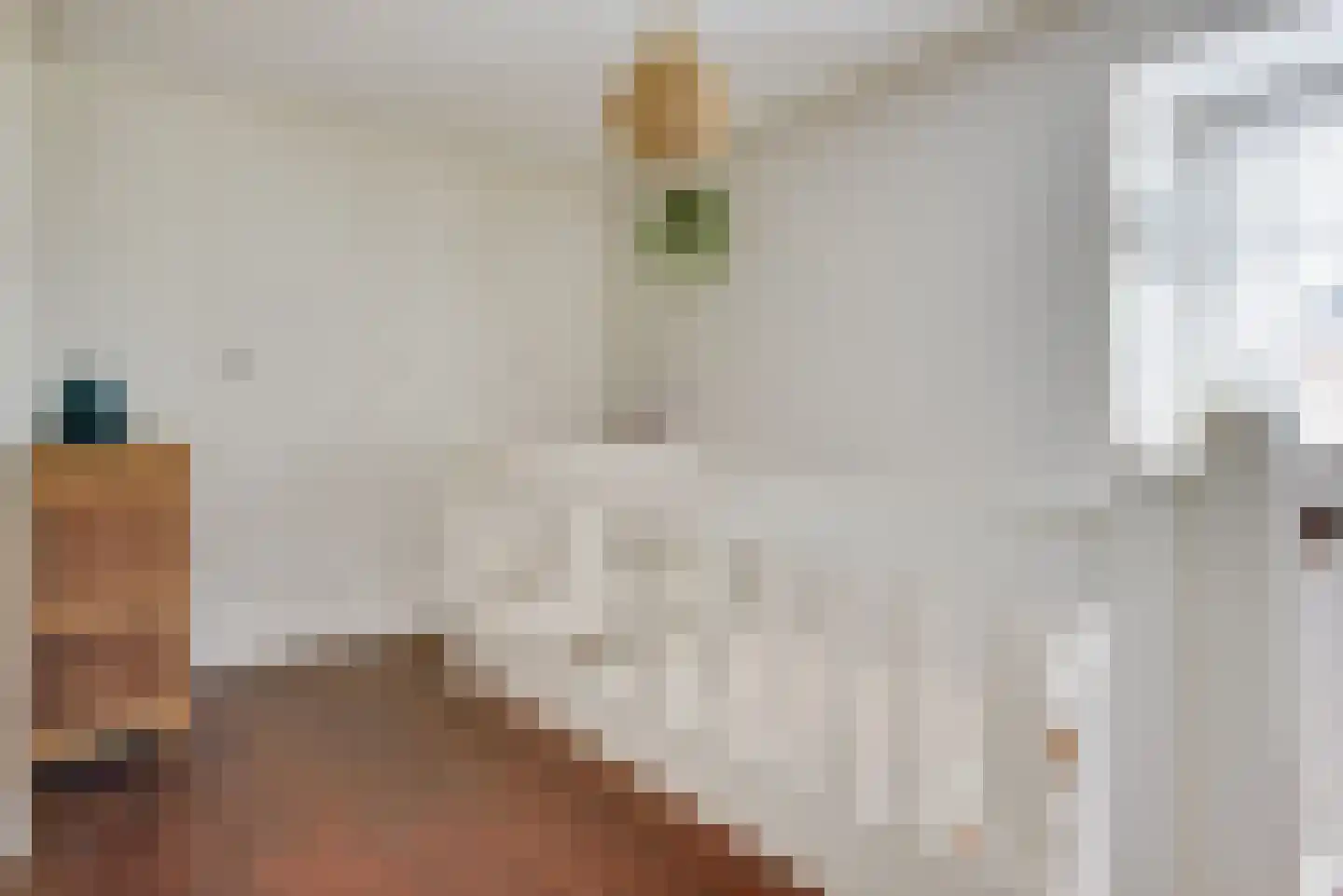 Rijksweg 51 Nieuwendijk thumbnail 22