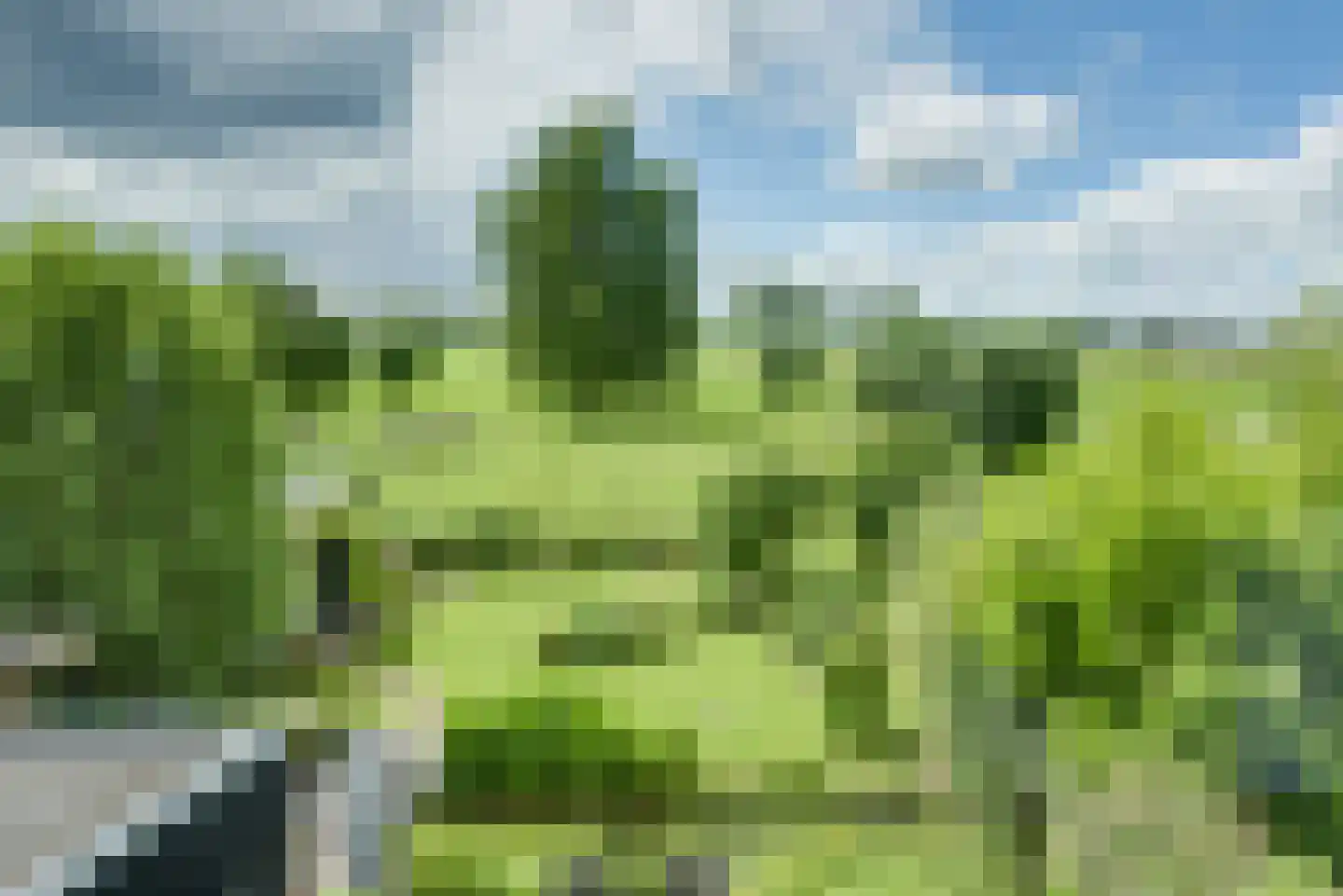 Rijksweg 51 Nieuwendijk thumbnail 25