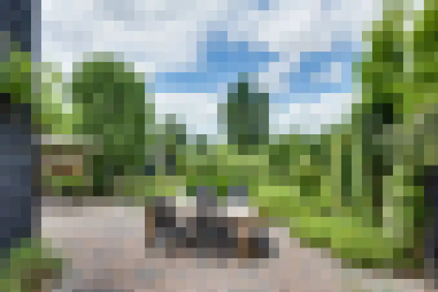 Rijksweg 51 Nieuwendijk foto 3