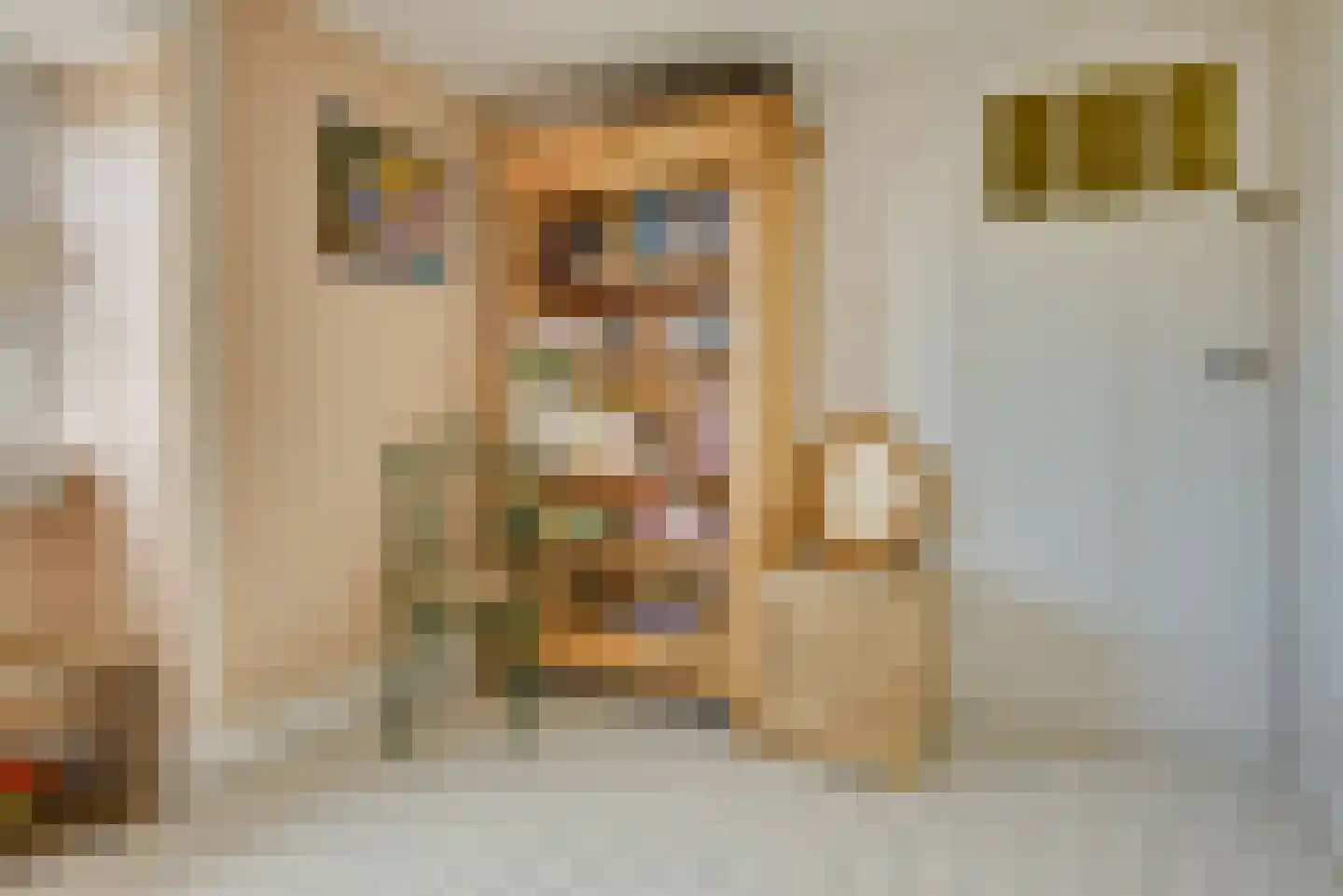 Rijksweg 51 Nieuwendijk thumbnail 32