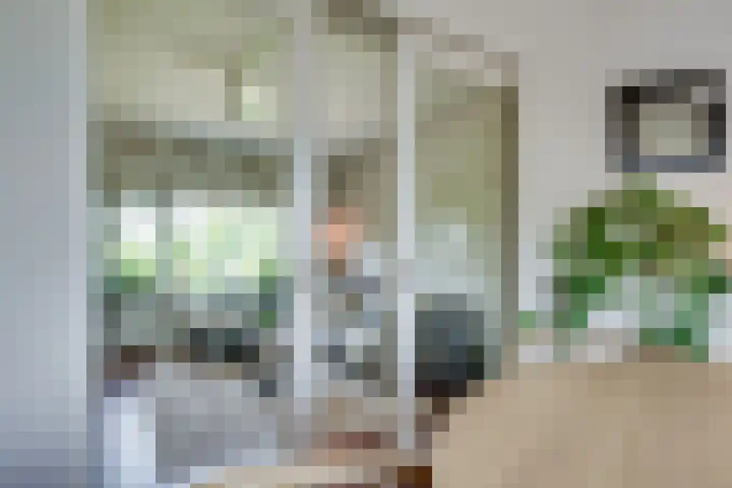 Rijksweg 51 Nieuwendijk thumbnail 6