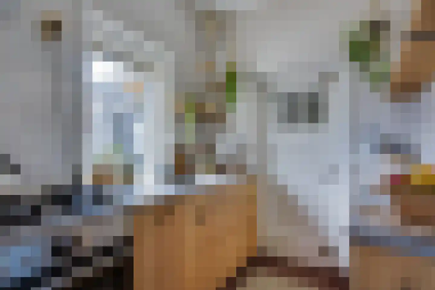 Rijksweg 51 Nieuwendijk thumbnail 8