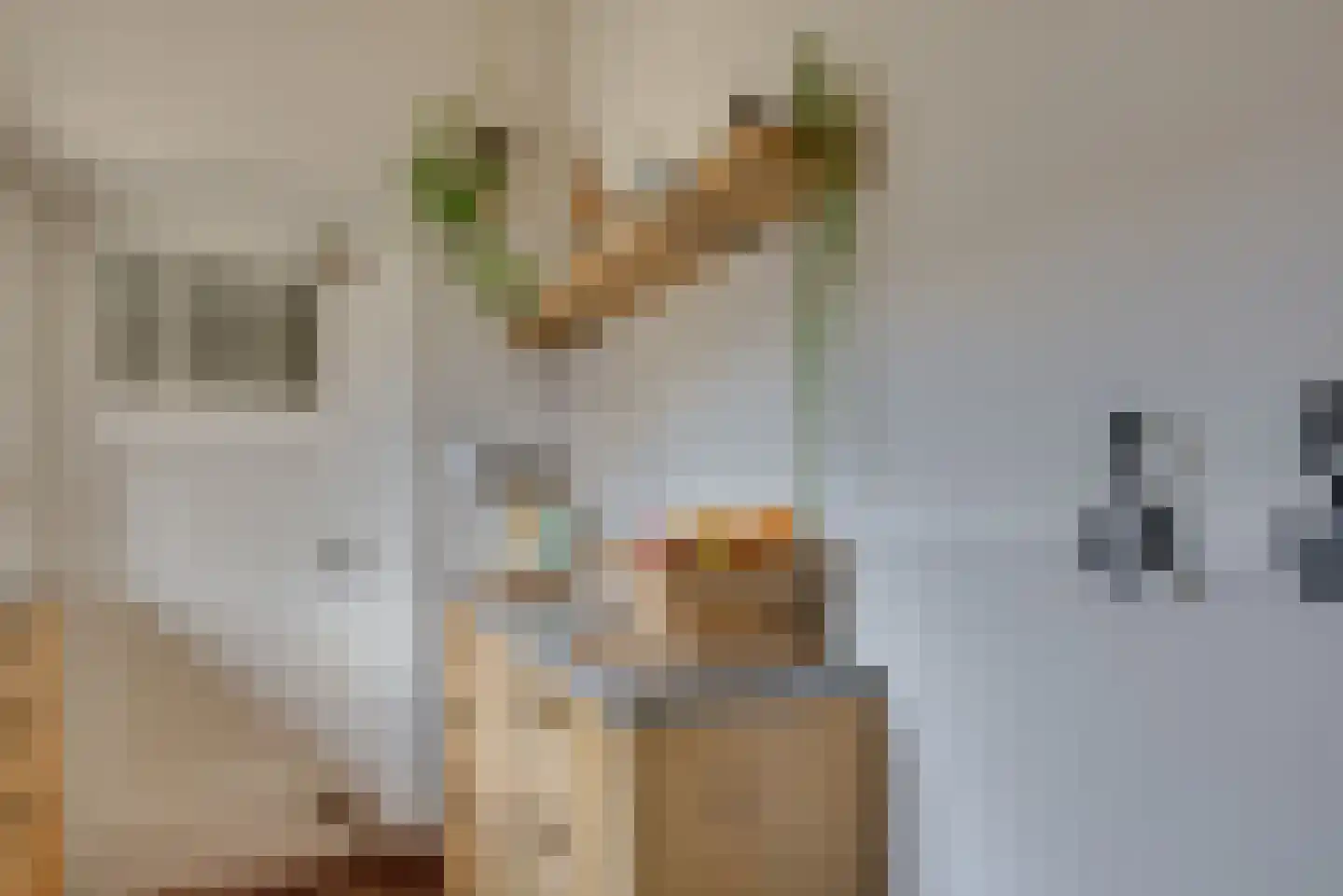 Rijksweg 51 Nieuwendijk thumbnail 9