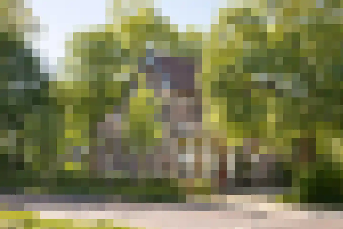 Rijksweg 52 Duiven foto 2