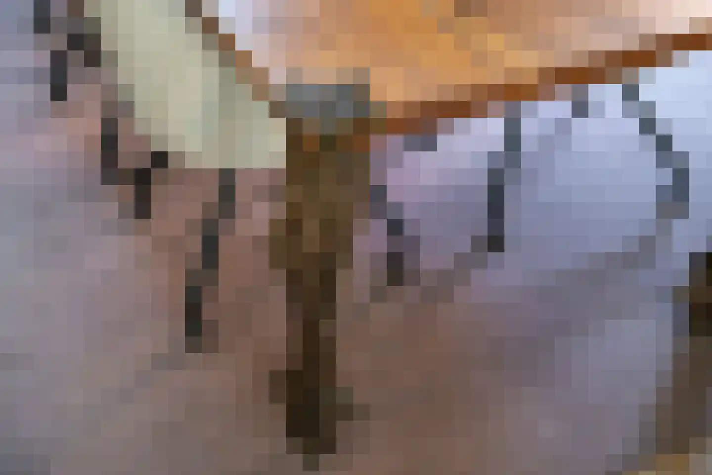 Rijksweg 52 Duiven thumbnail 28