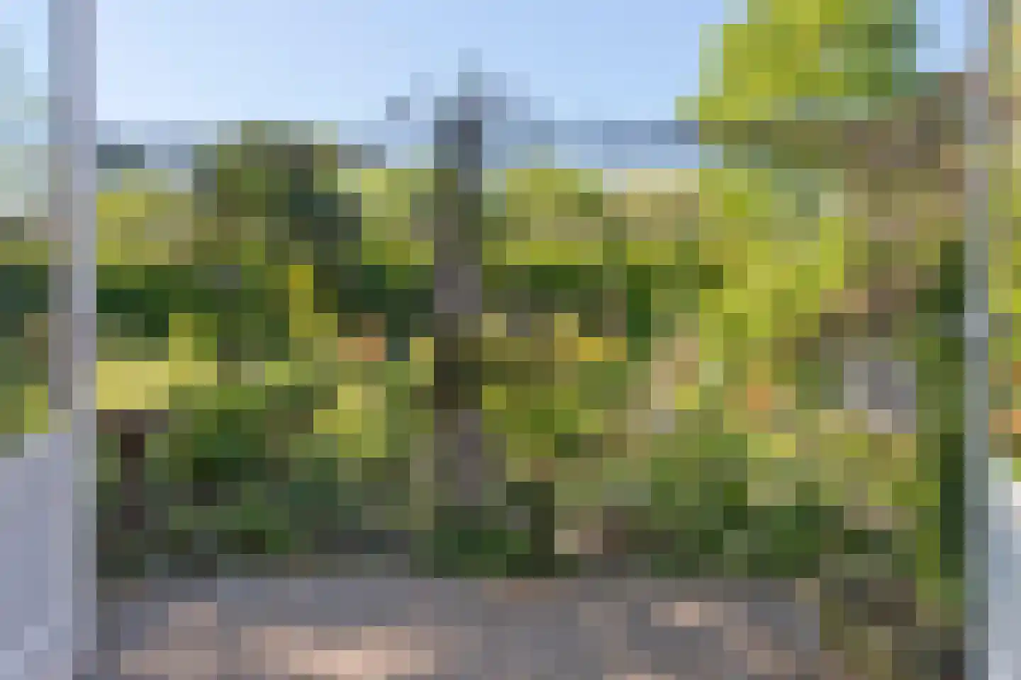 Rijksweg 52 Duiven thumbnail 36