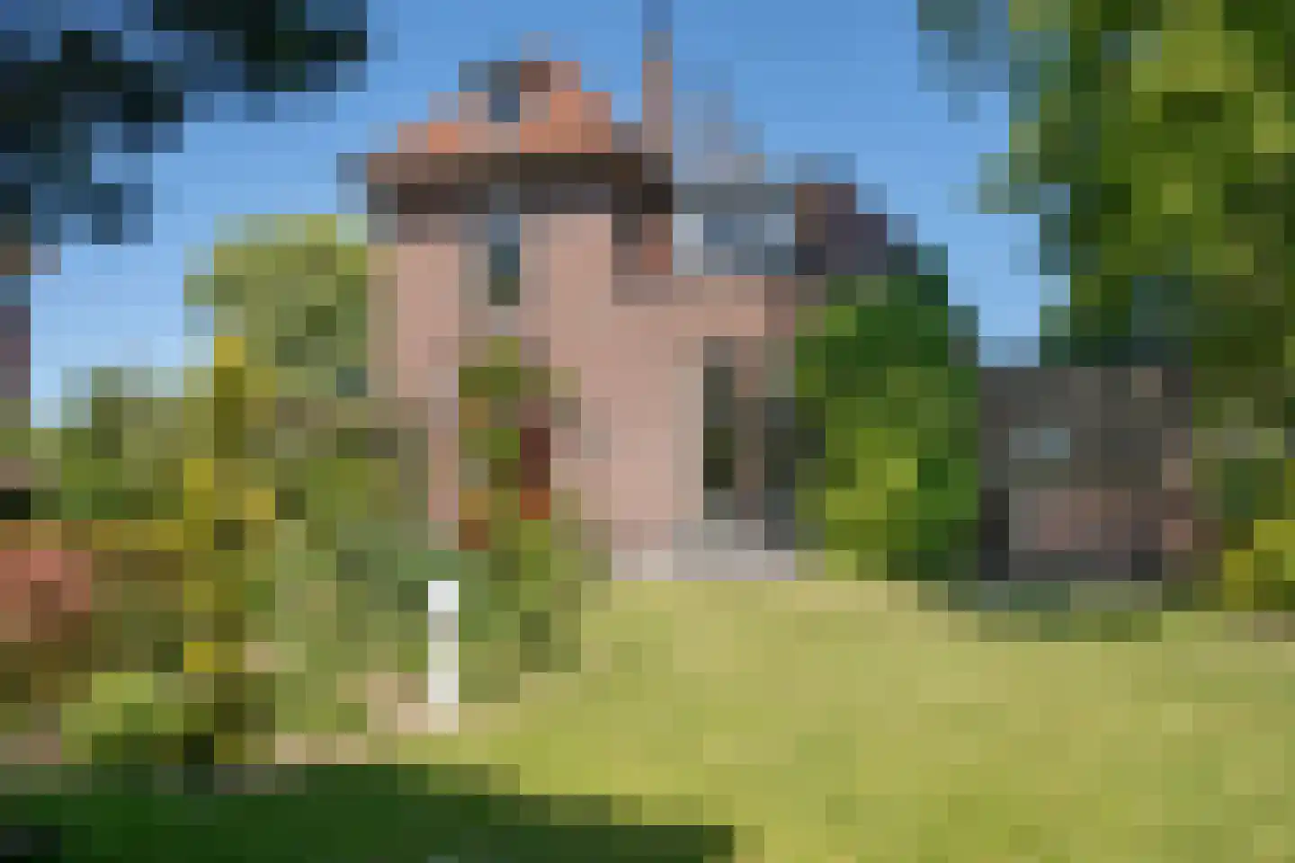 Rijksweg 52 Duiven thumbnail 40