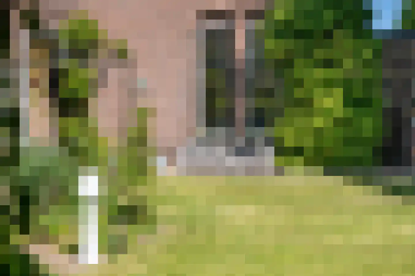 Rijksweg 52 Duiven thumbnail 41