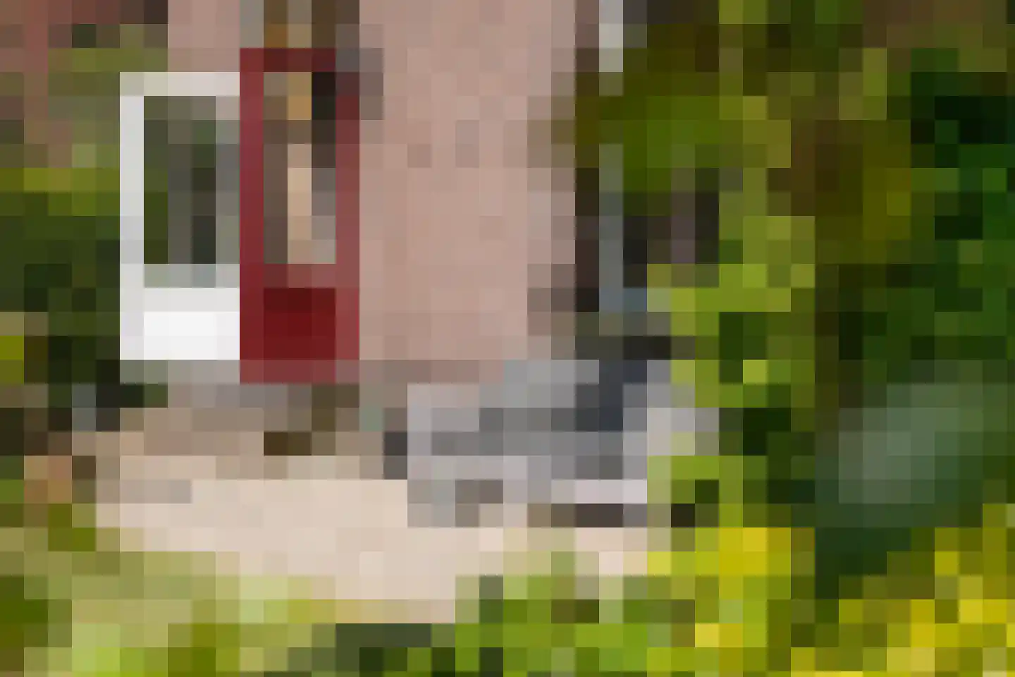 Rijksweg 52 Duiven thumbnail 42