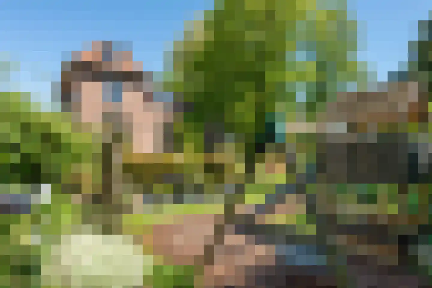 Rijksweg 52 Duiven thumbnail 43