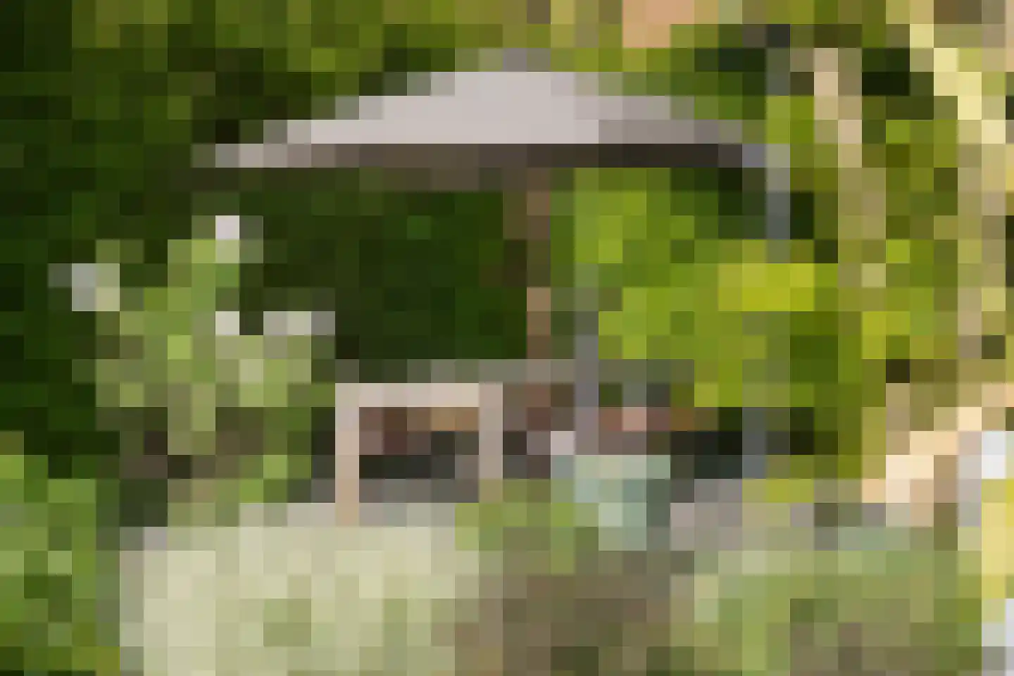 Rijksweg 52 Duiven thumbnail 46