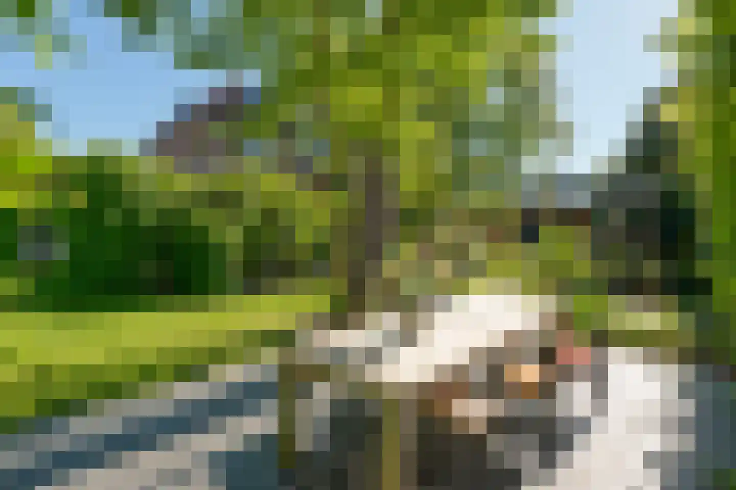 Rijksweg 52 Duiven thumbnail 47