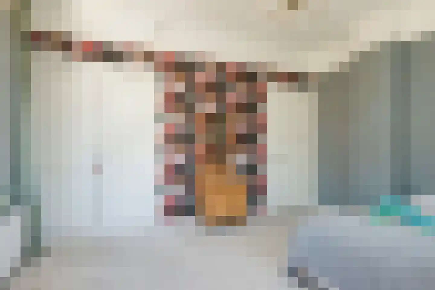Rijksweg 52 Duiven thumbnail 61