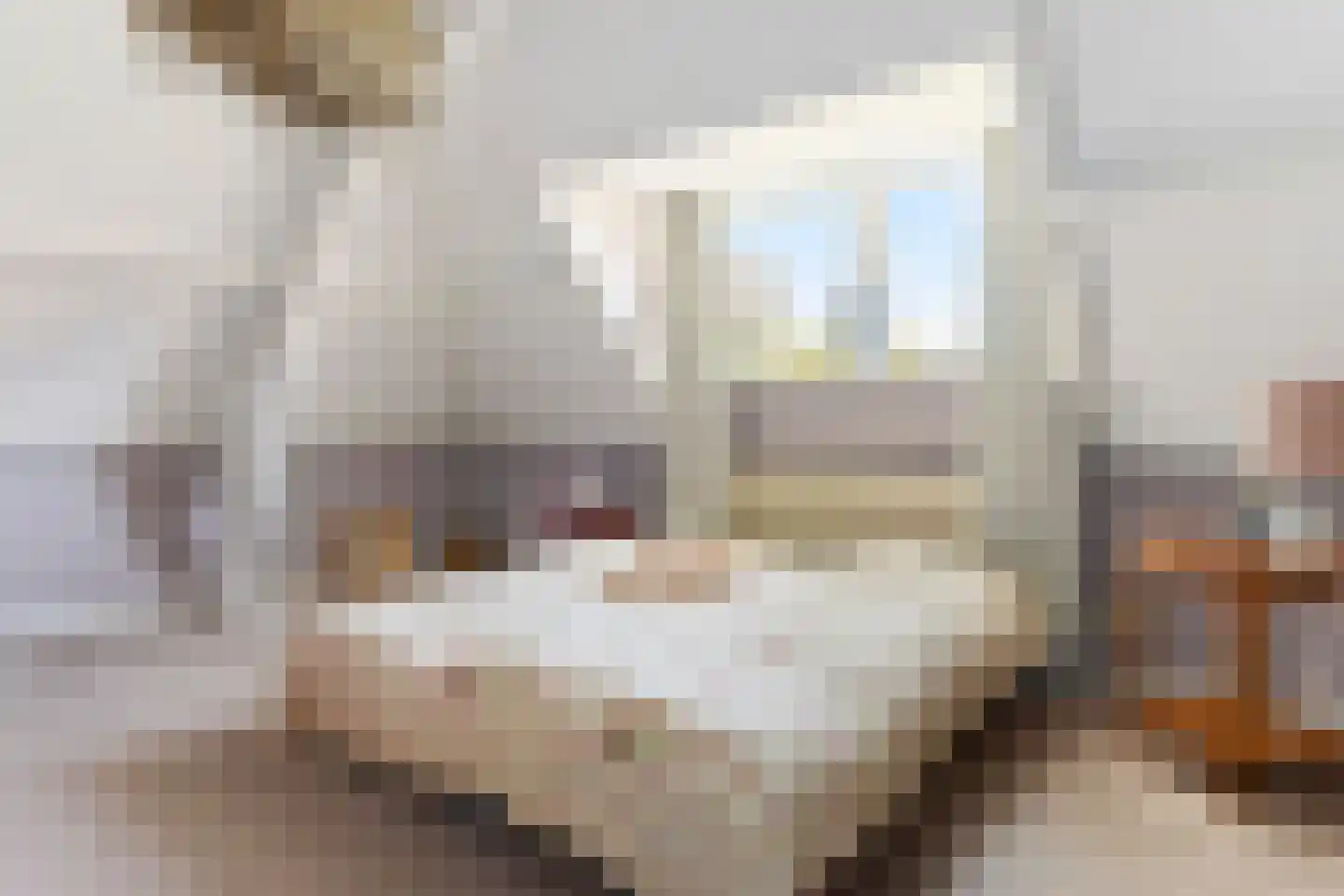 Rijksweg 52 Duiven thumbnail 62
