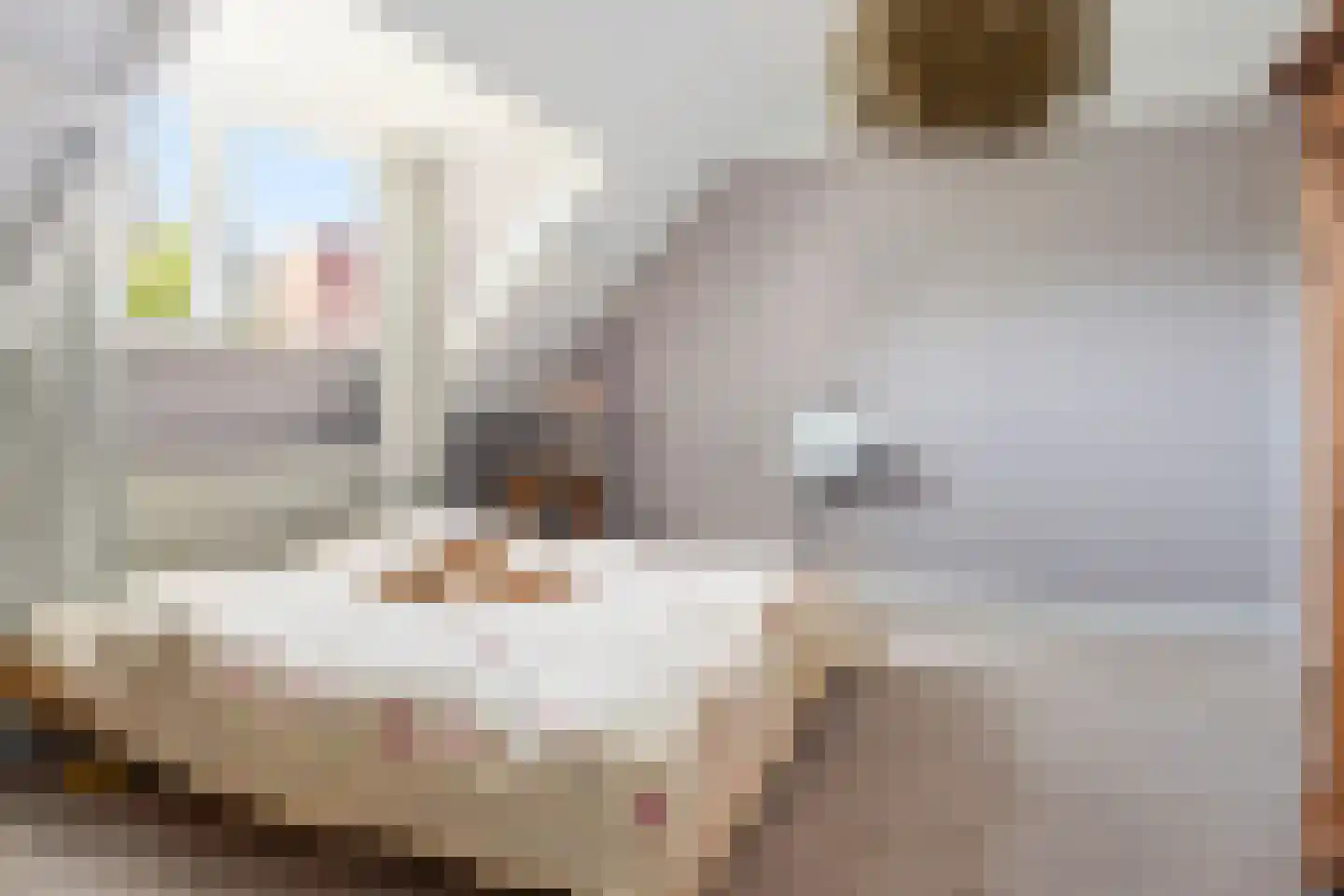 Rijksweg 52 Duiven thumbnail 63