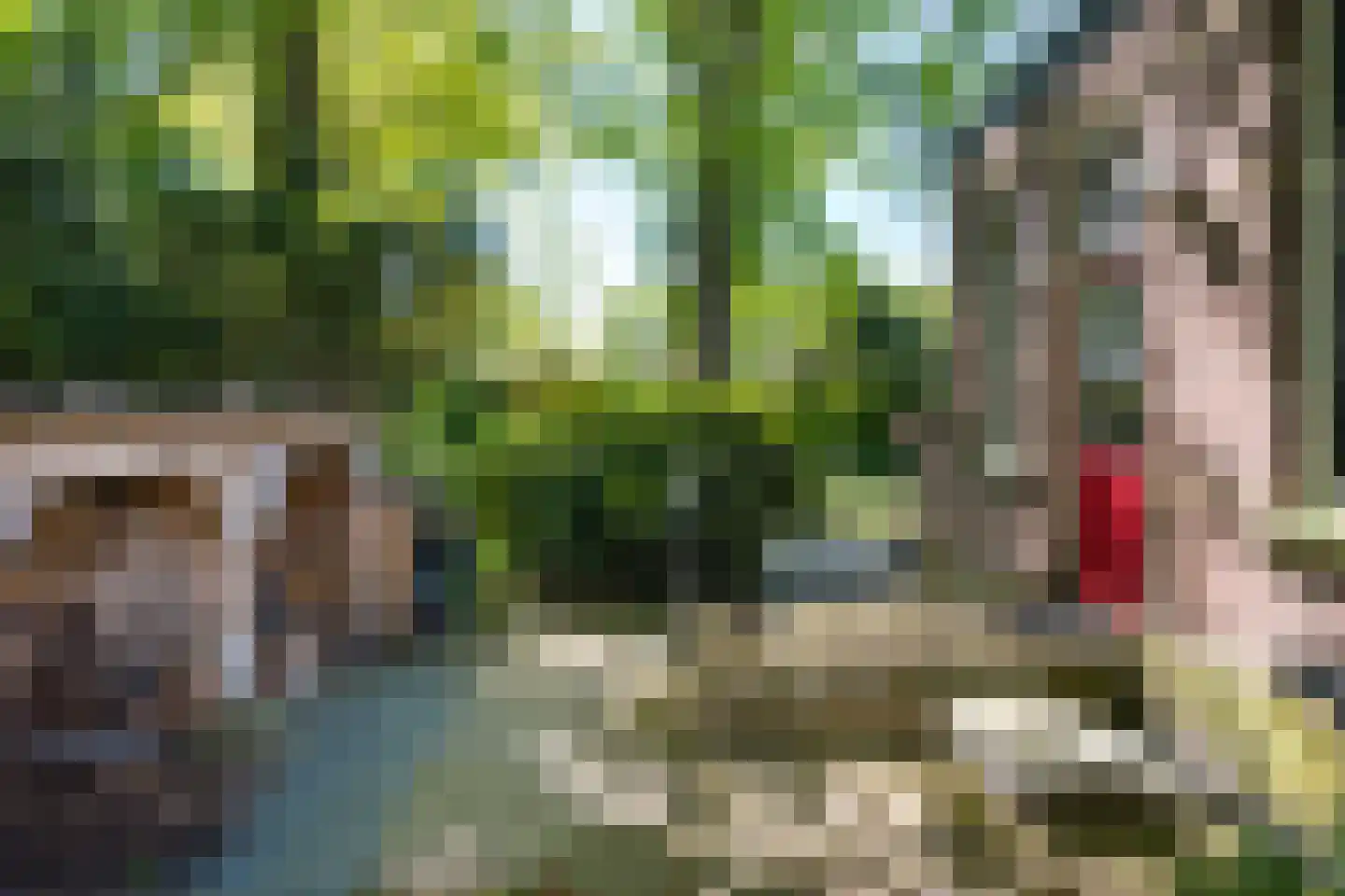 Rijksweg 52 Duiven thumbnail 73