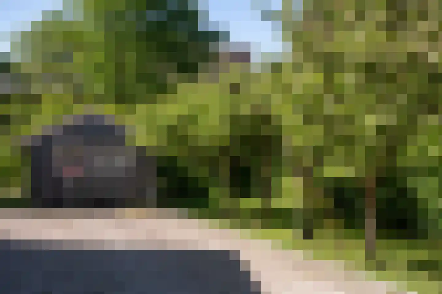 Rijksweg 52 Duiven thumbnail 74