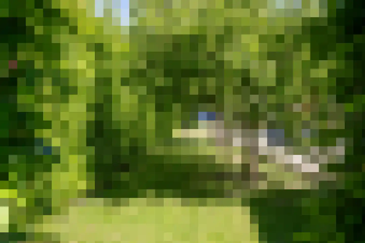 Rijksweg 52 Duiven thumbnail 75