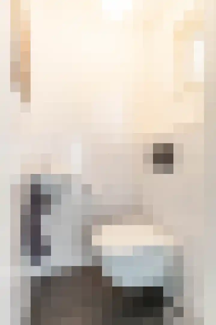 Rijksweg 53 Ten Boer thumbnail 10