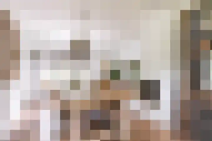 Rijksweg 53 Ten Boer thumbnail 17
