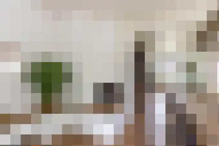 Rijksweg 53 Ten Boer thumbnail 18