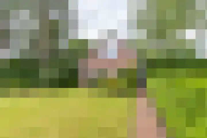 Rijksweg 53 Ten Boer foto 2