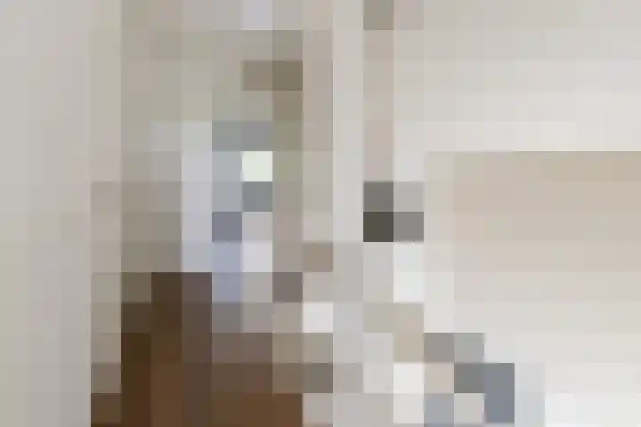 Rijksweg 53 Ten Boer thumbnail 20