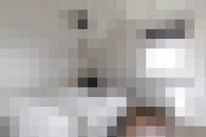 Rijksweg 53 Ten Boer thumbnail 22