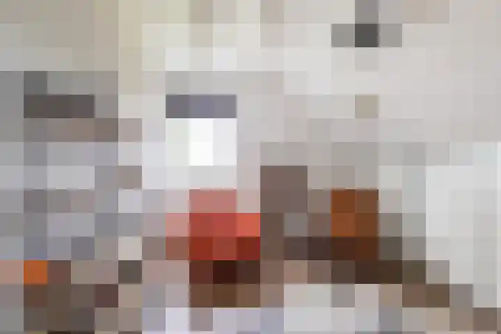 Rijksweg 53 Ten Boer thumbnail 23