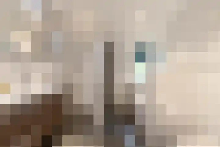 Rijksweg 53 Ten Boer thumbnail 26