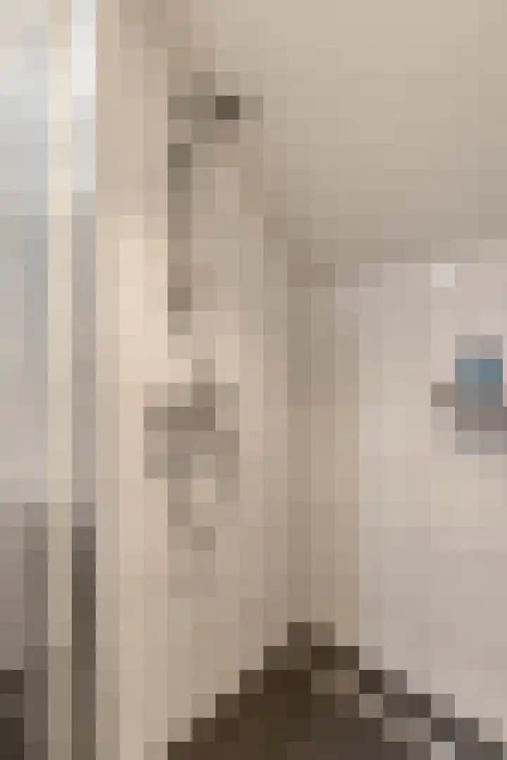 Rijksweg 53 Ten Boer thumbnail 27