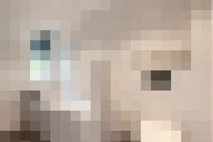 Rijksweg 53 Ten Boer thumbnail 28