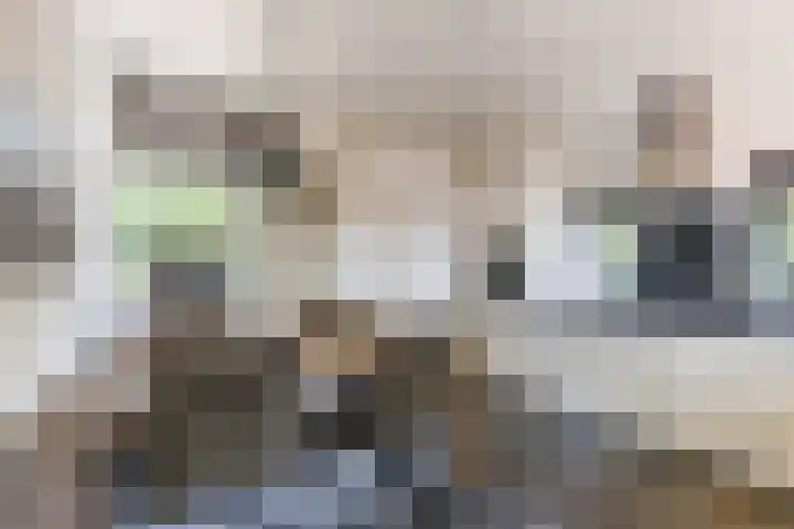 Rijksweg 53 Ten Boer thumbnail 31