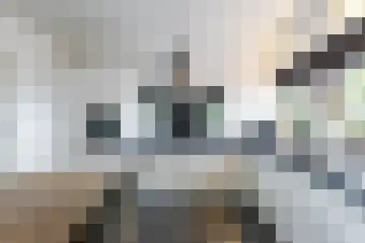 Rijksweg 53 Ten Boer thumbnail 32