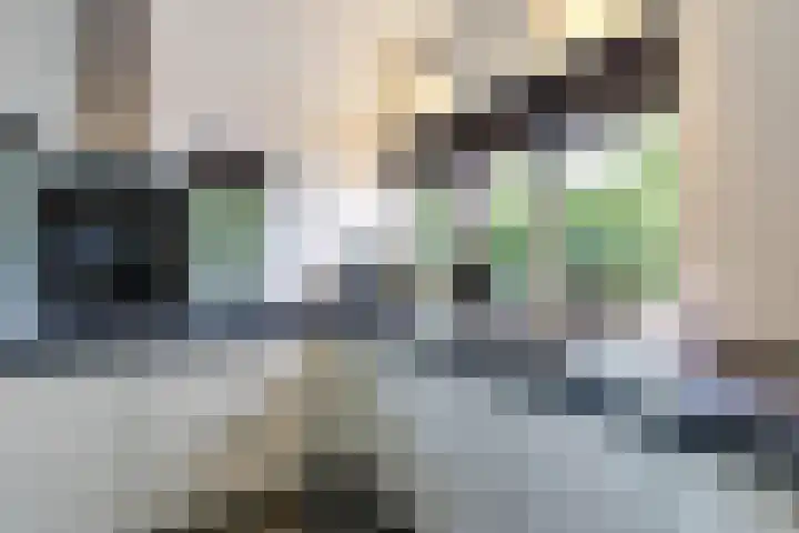 Rijksweg 53 Ten Boer thumbnail 33