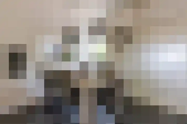 Rijksweg 53 Ten Boer thumbnail 34