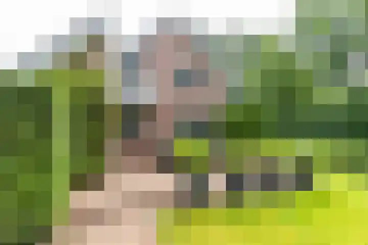 Rijksweg 53 Ten Boer thumbnail 39