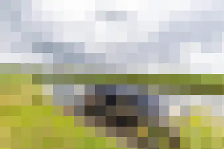 Rijksweg 53 Ten Boer thumbnail 4