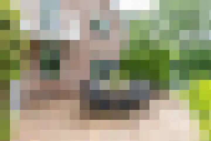 Rijksweg 53 Ten Boer thumbnail 40