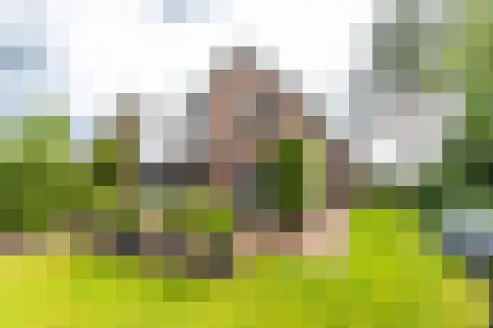 Rijksweg 53 Ten Boer thumbnail 41
