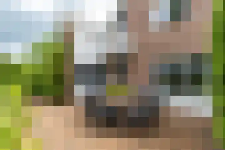 Rijksweg 53 Ten Boer thumbnail 42