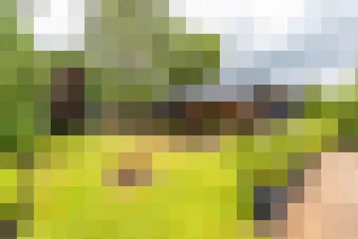 Rijksweg 53 Ten Boer thumbnail 43