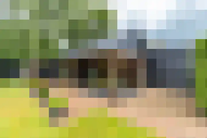 Rijksweg 53 Ten Boer thumbnail 44