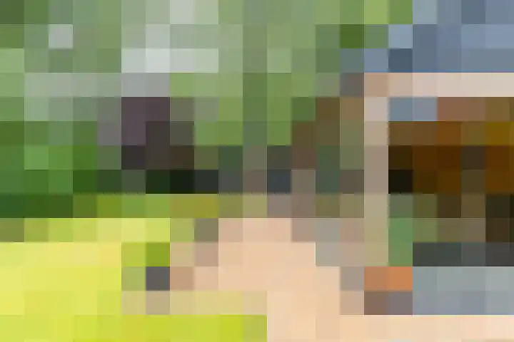 Rijksweg 53 Ten Boer thumbnail 45