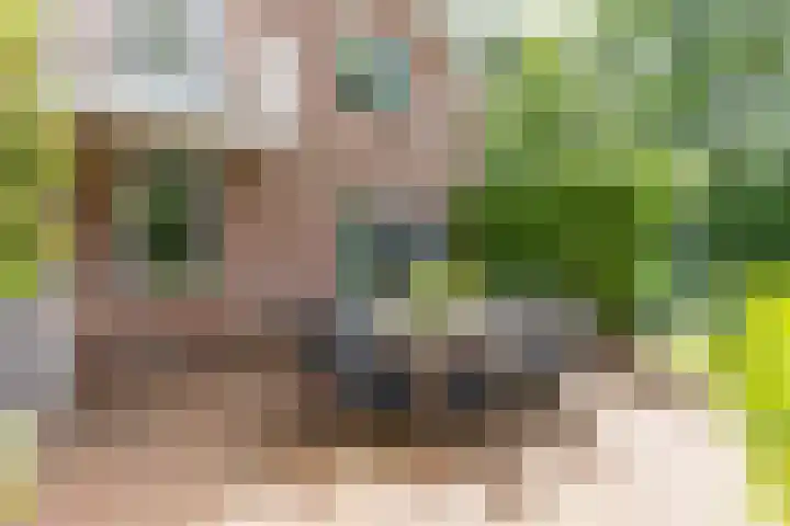 Rijksweg 53 Ten Boer thumbnail 46